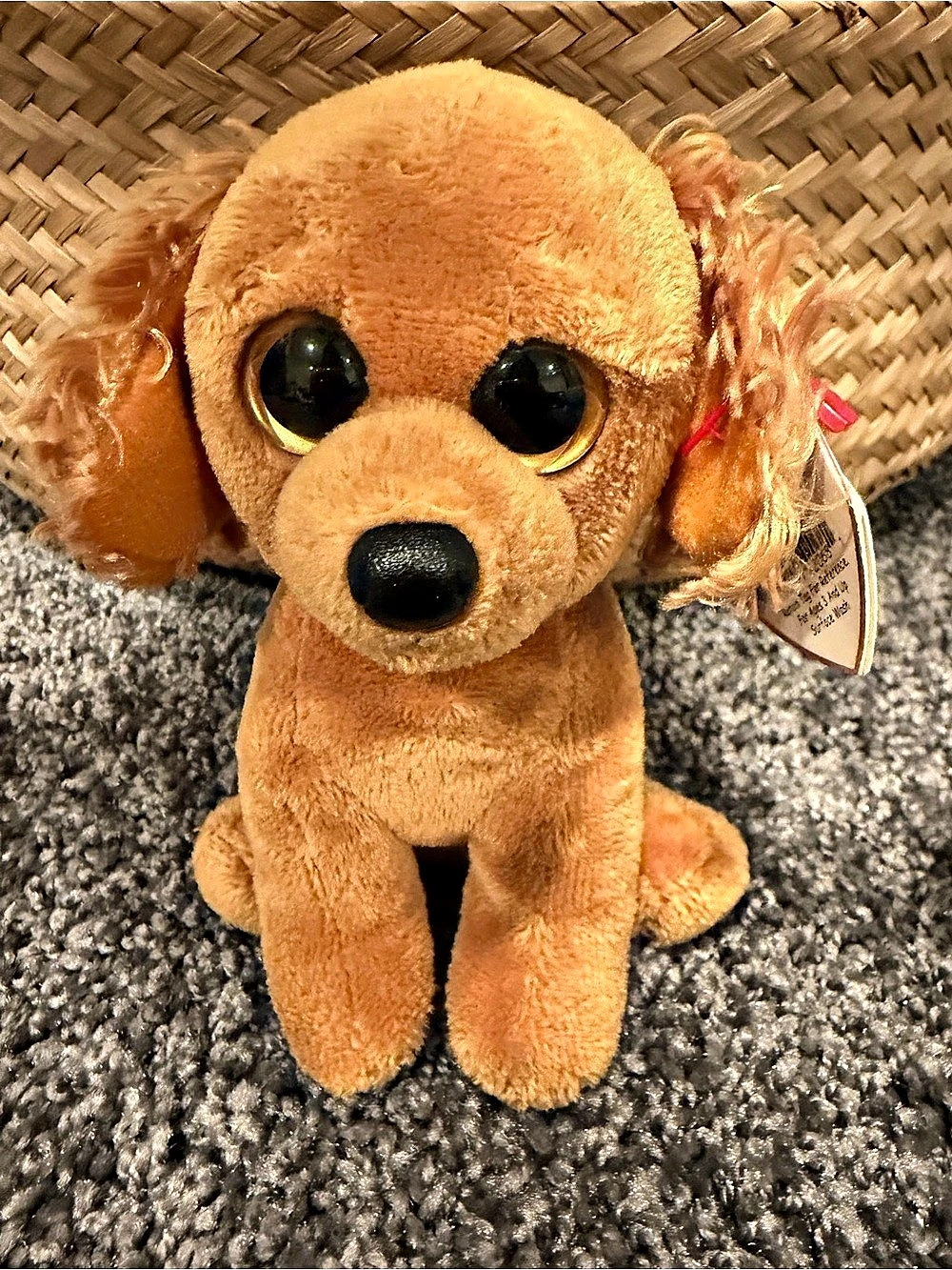 TY Beanie Babies Copper Cocker Spaniel Dog Plush 6” NWT 2011